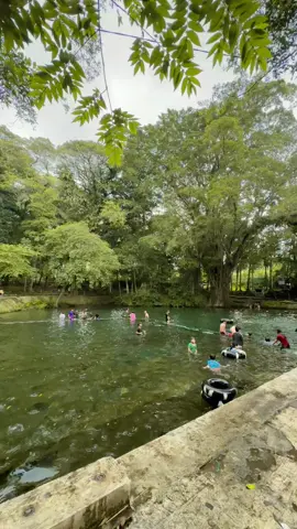 5 Langkah dr Rumah😍#sumbertaman #brongkal_pagelaran_malang #kabupatenmalang @Gio_vanny 