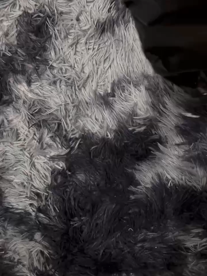 Gấu cute phô mai que  #cocgaudanang #cocgautienloi #cocgaudantuong #cocgau #cocgaudethuong #cocgaumini #cocgautienloi #cocgaudan #cocgaudebanchaidanhrang #cocgaudantuongdinhsieuchac