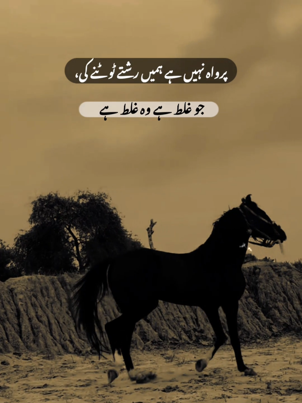 #fyp #foryou #lines #viral #badkhanu 
