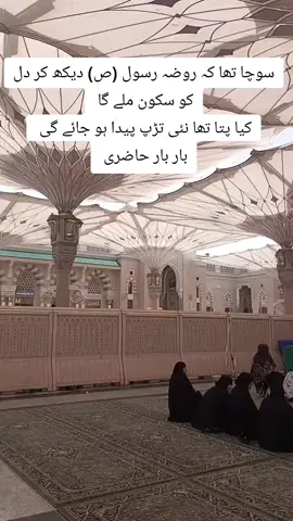 #foryou #fouryoupage_tiktok_ #مدینہ #missyoumadinah😥😭 #صلی_اللّہ_علیہ_وآلہ_وسلم😇❤️ 