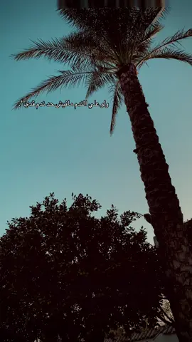 #fyp #ندم#ناصر 