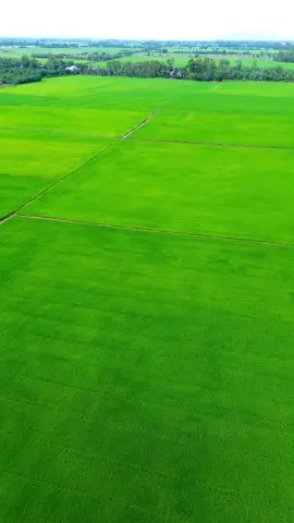 #xuhuong #nhacchill  #mientay #djimini3 #video   ❤️❤️❤️❤️✈️🌹🌹