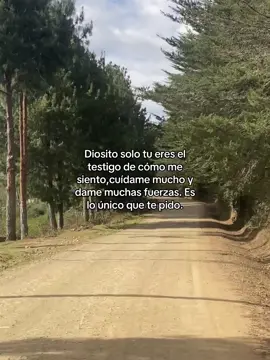 #fuerzas #animos😊✌️siempre  #ypfッ♡♡  #diosesamor #LIVEIncentiveProgram 