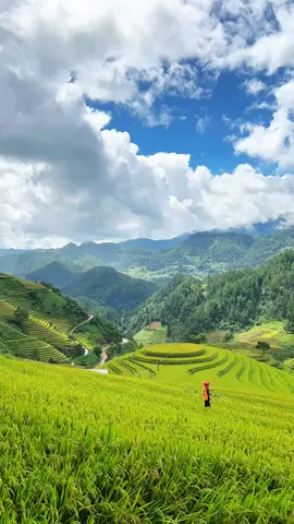 Mân xôi ngày 2 tháng 10 nắng ấm đẹp lịch đi siêu đẹp cho bạn nào đi mà muốn chụp hình không vướng người #TauEm #tourmucangchai #mucangchaitattantat #reviewmucangchai 