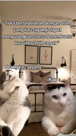 Tag orang yang korang sayang 😂🤣 #memestiktok #memekucinglucu #fypcat #memecat #fyp 