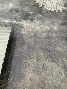 klebus sudah melanda #foryou #liriklagu #liriklagujawa #klebus #fyp 