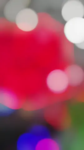 Quần đùi thể thao nam chất liệu gió co giãn #quanshortnam #quanduinam #quanshort #reviewthoitrang #xuhuongtiktok 