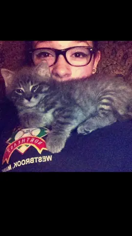 Thank you for being my baby for 10 years. Forever my boy, Armani. 🤍