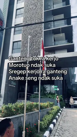 #fyp #xybca 