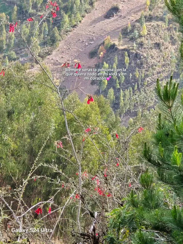 #naturaleza 🥹#campo 