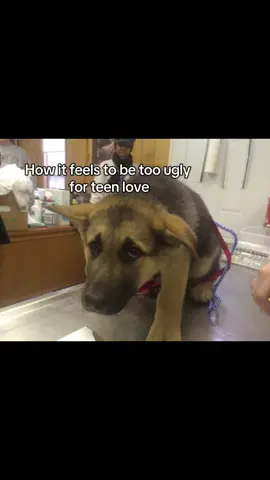 Not for me not for me….#fyp #ugly #feelinguglyasf 