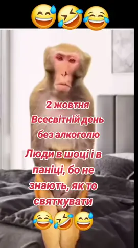 #деньбезалкоголя #вітання #смішно #приколи #позитив 