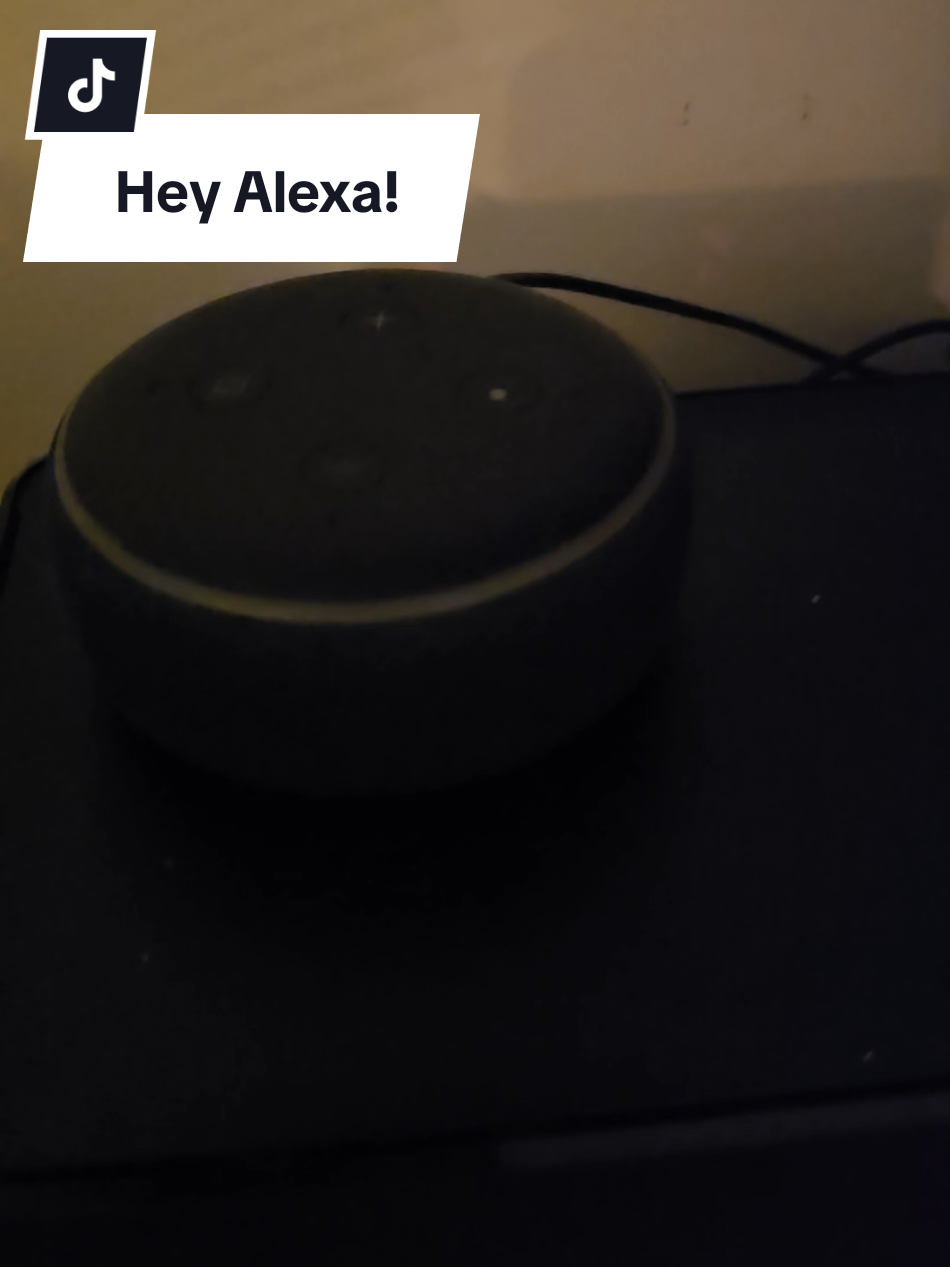 #alexa #translate #fyp #foryou #funny 