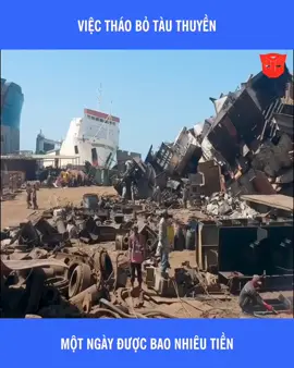 Việc tháo bỏ tàu thuyền một ngày được bao nhiêu tiền  #viral #tiktok #trending #viralvideo #viraltiktok 