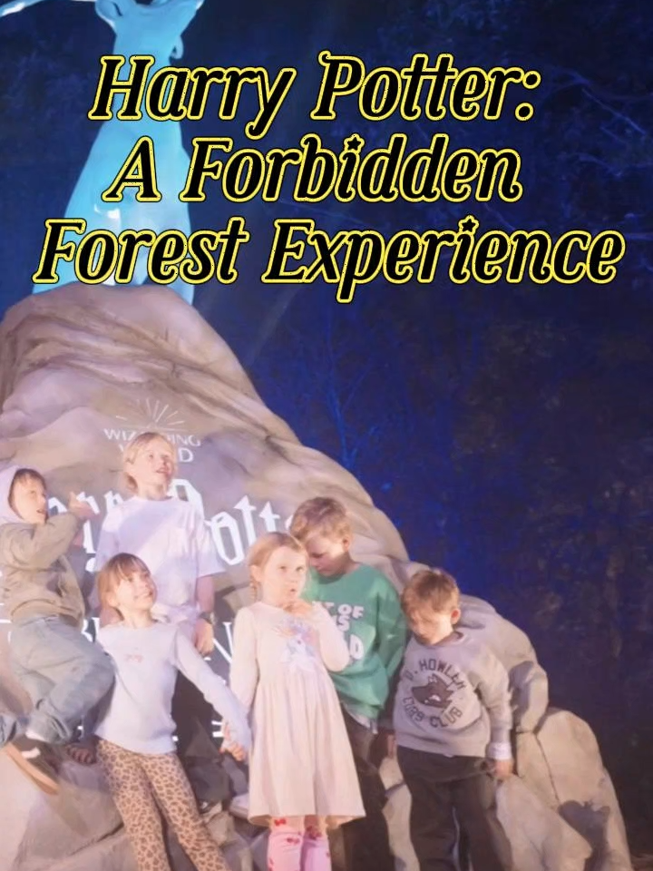 A video that guides you step by step on how to explore the “Harry Potter: A Forbidden Forest Experience”! Step into the magical world—your adventure begins now.