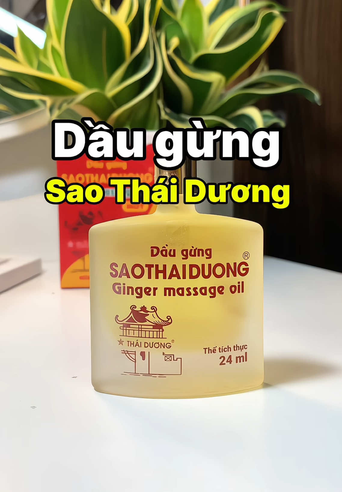 Dầu Gừng Sao Thái Dương #saothaiduong #daugung #daugungsaothaiduong 