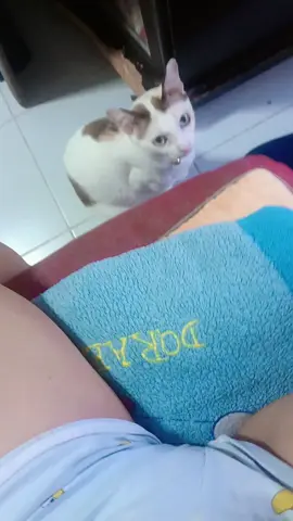 #😸😸😸😍😍 