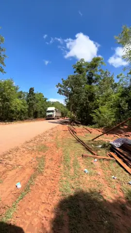 သစ်တော တနေရာ😅