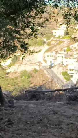 #العرقة_اليامون_برقين_اسيلة_الحارثية #جنين_نابلس_طولكرم_رام_الله_فلسطين_48 