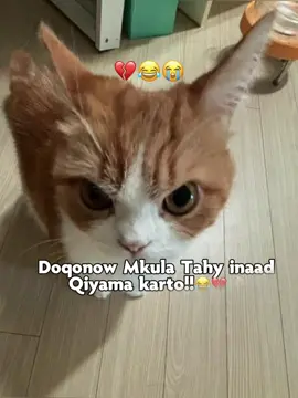 Love saar😂💕#mommy😭 #somalitiktok #fyppppppppppppppppppppppp #foryoupage #funnyvideos 