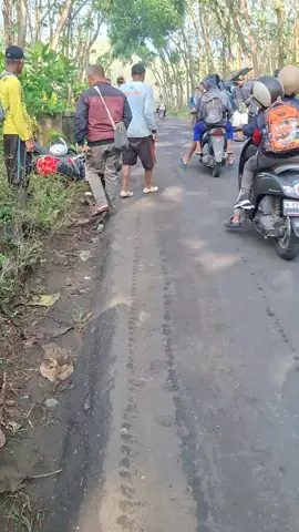 Laka tadi pagi di hutan kaulon sutojayan,kamis 2-oktober-2025 #fyp#vital#semuaorang#tkitaiwan🇹🇼 #tkijepang🇯🇵 #tkikorea🇰🇷 #tkibrunai🇧🇳 #tkimalaysia🇲🇾🇮🇩 #tkisingapura🇮🇩🇸🇬 #tkihongkong🇭🇰🇮🇩 