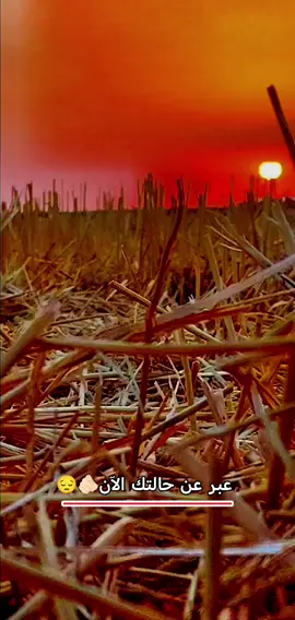 عبر عن حالتك الآن🫵🏻 تعبان. 😢 سعيد ♥️ مرتاح🙏🏻 غيرهم👍🏻#تصويري_احترافي_الاجواء👌🏻🕊😴صويري_احترافي #جرح_القلب💔🥺🥺 #تصويري_احترافي_الاجواء👌🏻🕊😴صويري_احترافي 