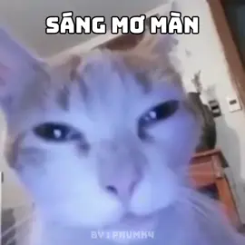 tối nhớ nàng ... :D#xhtiktok #xh #viral 