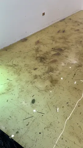 Chán không nói lên lời ! :)))
