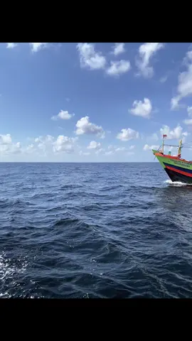 MR PLAYING👋🏻 #fyp#cantrangtegal 