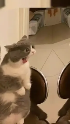 🦶🔥😭#mushtii🎀 #mushtaaq🥥🌷💋 #fpppppppppp #mushtii💘😍 