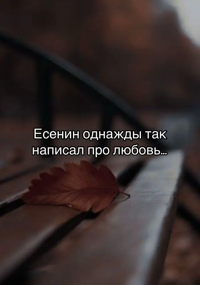 #цитаты #цитатысосмыслом #философия #Есенин #fyp