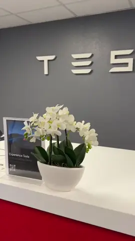 Invest in Tesla today and become a Millionaire Tomorrow...