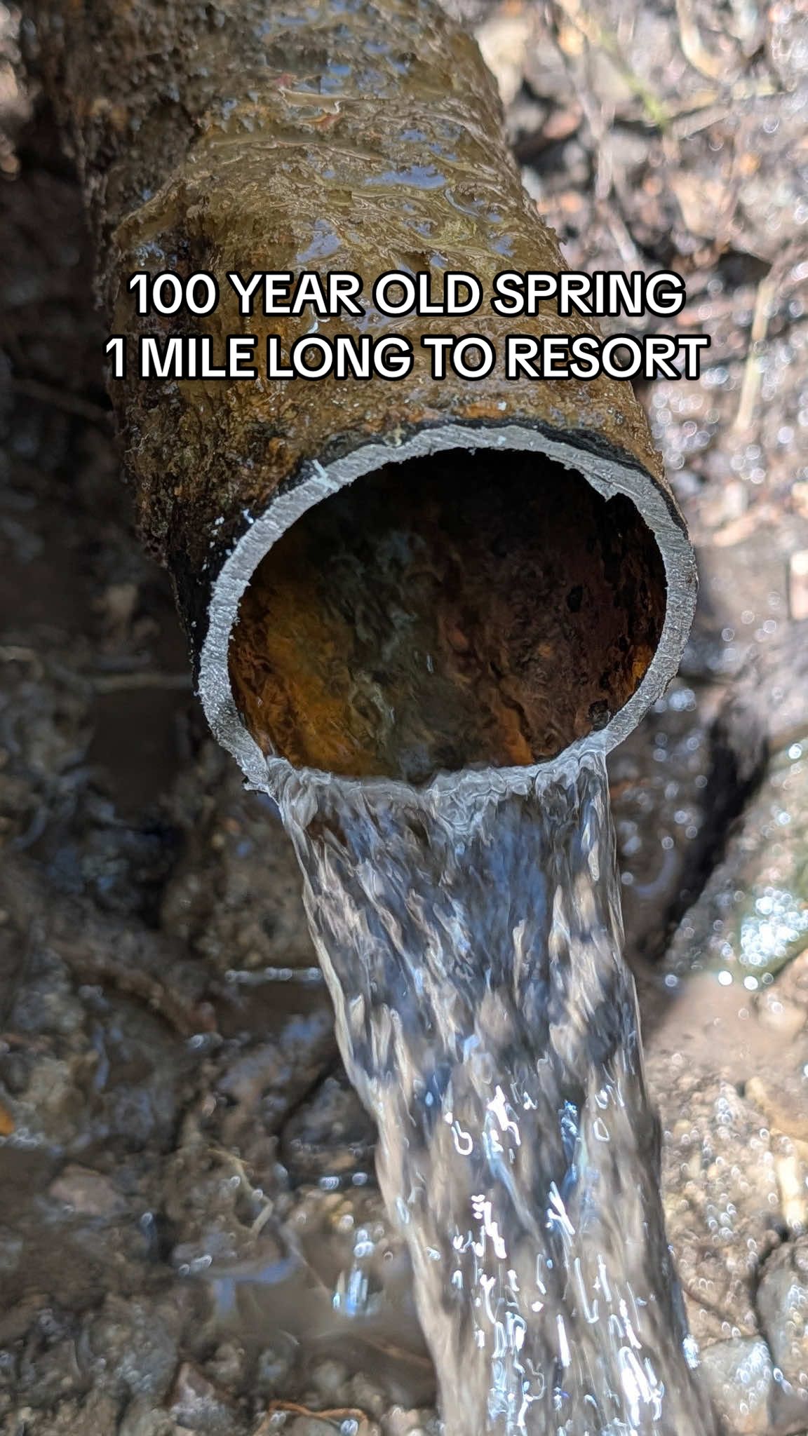 Replying to @giantmedicman71 MILE LONG SPRING WATER COMPLETED ✅ NOW TO FILL THE POOL #abandonedplaces #resort #ABANDONED 