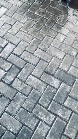 😵‍💫#ponorogo24jam #masukberandafyp #5tpgank #deprokstyle #fyp 