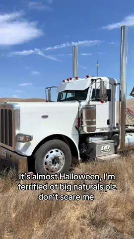 Please don’t 🫣 #fyp #trucking #peterbilt #389 #wanghaf 