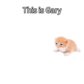 day 2 #fyp  #gary #daily #monster