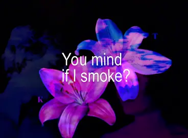 ✩ - Cigarettes out the Window - TV Girl #songs #lyrics #lyricsedit #music #tvgirl 