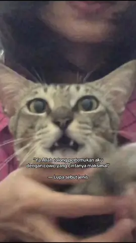 Bukti nyata kalo doa emang harus detail🙏🏻 #catlovers #cat #fypage 