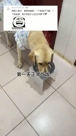 小九:今天饭碗闹鬼了😂