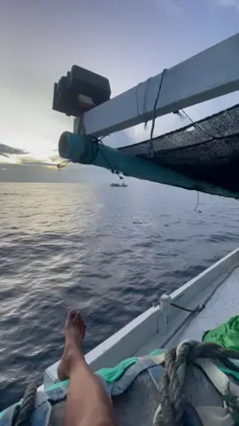 ananda dengan mode incar ikan liar #tunajayagrop #kmntunajaya03 #kmnananda23 #pagaebulukumba 