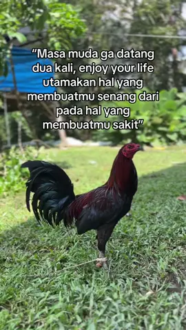 nikmatin,aja#🐓falipina🇵🇭 