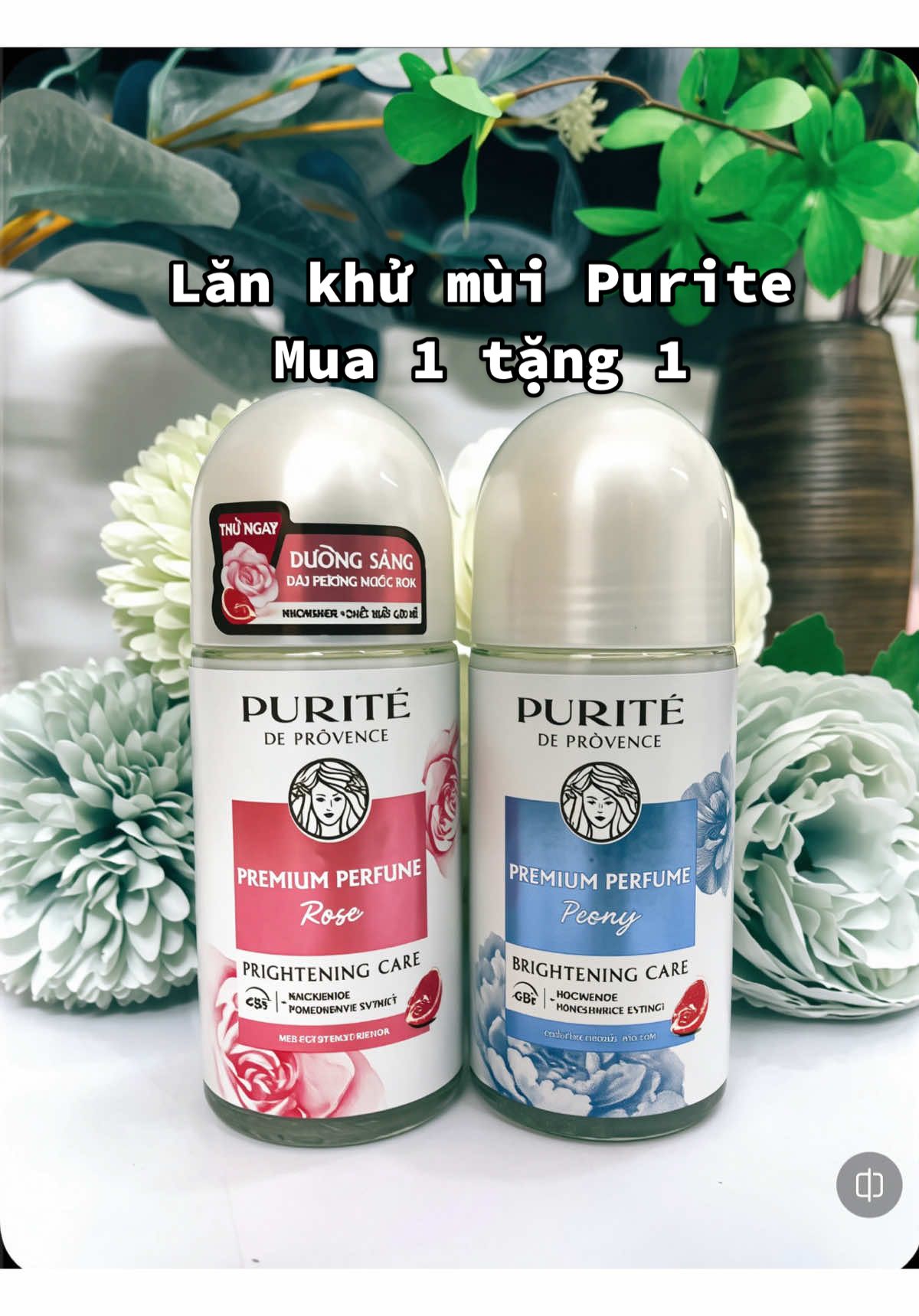 Mua 1 tặng 1 lăn khử mùi Purite hương nước hoa #purite #lankhumui #lankhumuipurite #lankhumuitrangda #duongda 