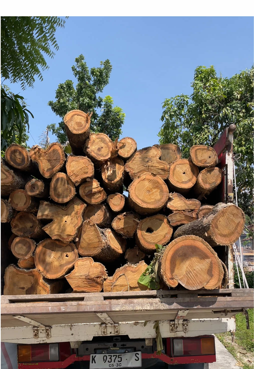 Ready bahan #sargitomebel #kayujati #tumbuhdantangguh #fyp #rosokkayu 