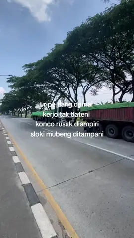 bedo juragan tetep sedluran 🤝🏻
