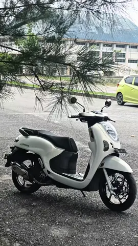 pesona scoopy gitu gitu ajah👀 #fyp #scoopygen6 #4upageシ #scoopymodifikasi #CapCut 