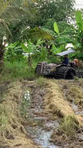 Đặc sản ae máy miền Tây @Nguyễn Bảo 68💫🚜 @Chí Linh @👹KHÁNH-NOBI👹🚜🌾📷 @Hoài dân 95 @Phạm Đăng 🌾🚜 @Tý_Nhỏ_02°-°®™🛬📸🌾🚜 @Huy Nguyen #xuhuongtiktok2025☘️🍀♥️ 