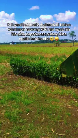 #hannnn#mambarangatanuai#fyppppppppppppppppppppppp #fypシ゚ 