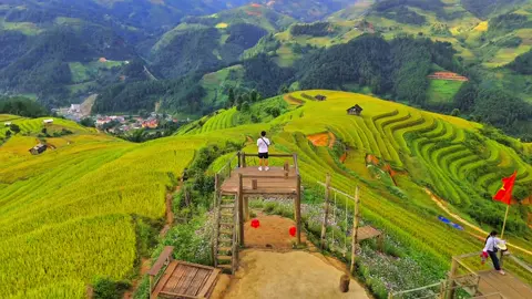 Lại một mùa lúa trên Mù Cang Chải sắp qua đi cũng như .... #mucangchai #dji #djimini4pro #chill 🫠🫠🫠