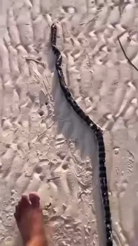 sorry guys😁#alightmotion_edit 