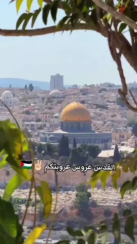 فـلـســ🔻𝒑𝒂𝒍𝒆𝒔𝒕𝒊𝒏𝒆🔻طــيــن 💚